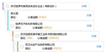 武漢格羅夫商務咨詢合伙企業 有限合伙